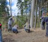 Meldung: Tannenzaun Weitisberg