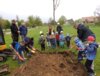 Meldung: Baum des Jahres 2025