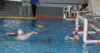 Meldung: Wasserball Bezirksmeisterschaft U12 Vorrunde