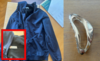 Meldung: Fundsachen