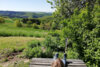 Meldung: Sonntag 22.06. Wanderung zu Kaffee & Kuchen