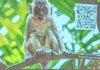 Meldung: Tilo Weber zum Thema Tierversuche in der Wissenschaft