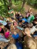 Meldung: Waldolympiade Klasse 4