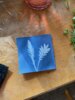 Vorschaubild der Meldung: Stammtisch mit Sunprints