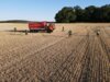 Dienstabend Feuerwehr Stadt Friesack am 30.06.2025
