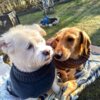 Meldung: Liebe Grüße von Elli und Lissy