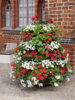 Vorschaubild der Meldung: Blumen in Rot-Weiß für den BRANDENBURG-TAG
