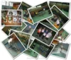 Meldung: Seniorenmeisterschaft am 16.06.2012 in Misburg
