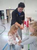 Meldung: Respect-Programm