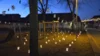 Meldung: Kinder zweier Schulen singen gemeinsam Weihnachtslieder