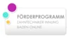 Meldung: Kostenfreie Webseitenerstellung und Unterstützung bei der Umsetzung des Barrierefreiheitsstärkungsgesetz (BFSG) für Innungsmitglieder