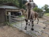 Meldung: Ausflug zur Kisselmühle