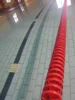 Meldung: Schwimmen- Staffelwettkampf