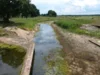 Meldung: Aktuelle Informationen des MLEUV zur Niedrigwassersituation & Übersicht zu Entnahmebeschränkungen per Allgemeinverfügung für Grund- und Oberflächenwasser im Land Brandenburg