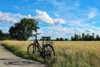 Meldung: 16. August Mit dem Rad zur Kunst - Auf einer geführten Rad-Tour die Ausstellungsorte der openart Lausitz Biennale entdecken (Anmeldung erforderlich)