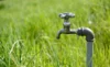 Meldung: Wegen Extrem-Niedrigwasser: Landkreis Passau schränkt Entnahme von Grundwasser ein