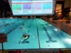 Meldung: SCL-Athleten beim 100x100 Schwimmen