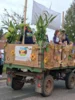 Meldung: Bilder vom Bördesfest in der Kesselgalerie