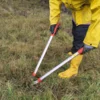 Meldung: Arbeitseinsatz für die Heide Frörupsand
