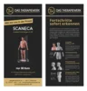 Scaneca