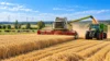 Meldung: Landwirtschaft in Elbe-Elster: Leistungsfähig, vielfältig und vor großen Herausforderungen