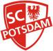 Foto zu Meldung: Volleyballerinnen des SC Potsdam sind komplett