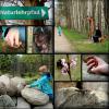 Foto zu Meldung: Naturlehrpfad wird weiterentwickelt