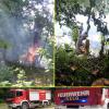Foto zu Meldung: Baumbrand gelöscht