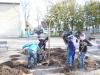 Vorschaubild der Meldung: BUGA-Erwachen an der Otto-Seeger-Grundschule