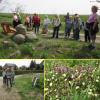 Foto zu Meldung: Wandern und Singen auf dem Liederweg