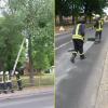 Foto zu Meldung: Großer Ast, Radrennen und Ölspur