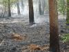 Meldung: Waldbrand B158 gegenüber Bunkeranlage