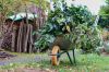 Schredderaktion für Baum- und Strauchschnitt aus Hausgärten