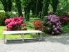 Vorschaubild der Meldung: Besuch im Rhododendrontal des Optikparks