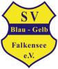Meldung: Fußballverein Blau-Gelb Falkensee e.V. sucht Trainer