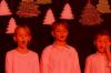 Foto zu Meldung: Das Weihnachtskonzert der Schule im Grünen Großsolt