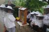 Dem Geheimnis der Honigmacher auf der Spur