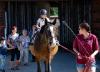 Meldung: Viel Spaß für kleine und große Pferdefreunde