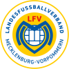 Meldung: Landesfußballverband bietet Modulare Trainerausbildung 2018 an