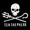 Sea shepherd - Classe 5b - Mai 2017