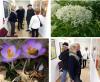Foto zu Meldung: Eröffnung der Fotoausstellung: „Der Frühling kommt“ Fotos in der Kellergalerie