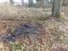 Meldung: Kleines Feuer am Straßenrand