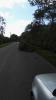 Meldung: OV Dannenberg - Krummenpfahl Baum auf Straße