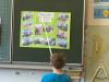 Foto zu Meldung: Expertenstunden in der Klasse 1/2