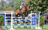 Vorschaubild der News: Medaillenregen über der Olympia Reitanlage