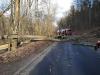 Meldung: Baum auf Straße Falkenberg