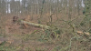 Vorschaubild der News: Schlosswald wegen Sturmschäden gesperrt