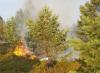 Meldung: Kreisbrandmeister und Forstbehörden laden zur Informationsveranstaltung
