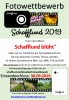 Meldung: Fotowettbewerb 2019 - Schafflund blüht
