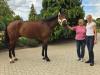 Vorschaubild der News: Besuch bei Casper von Stein in Neu-Benthen